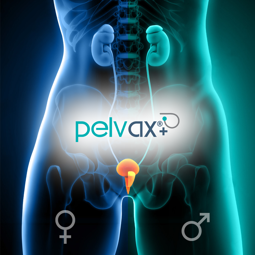Card qntm pelvax XL