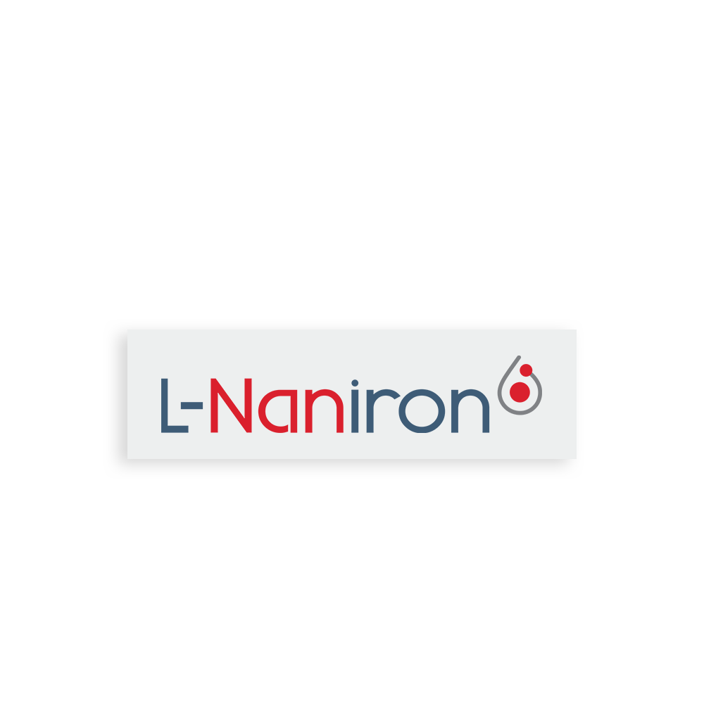 Logo qntm l naniron XL wbg