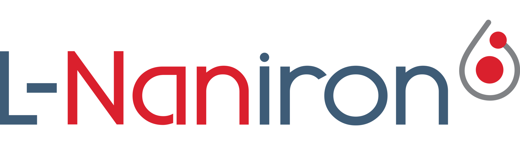 Logo qntm l naniron