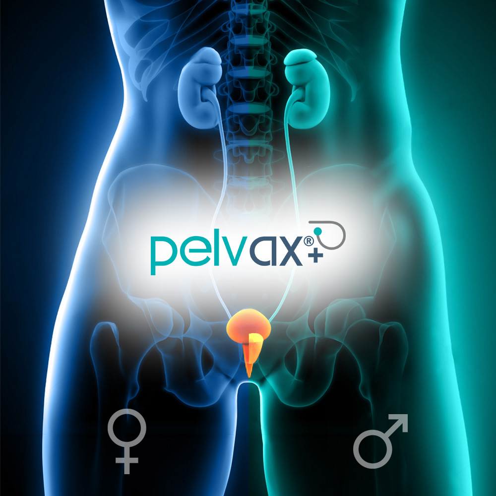 Pelvax banner